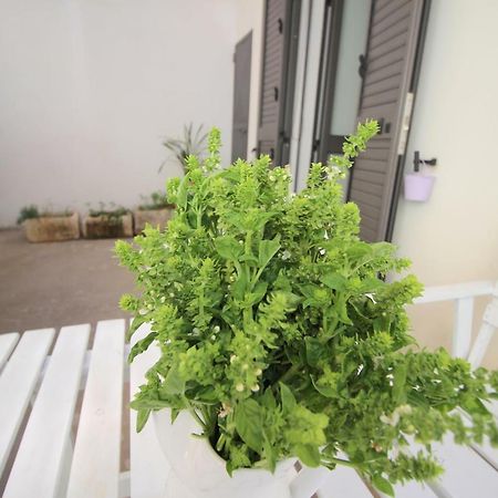 Home Holiday Salento Casa Agrosi 수페르사노 외부 사진